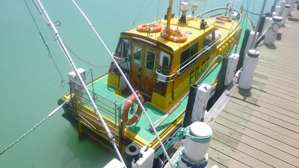 2018 Pilot Boat Kiwa