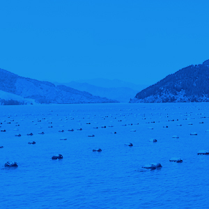 Aquaculture Stock & Structure - Claims & Consultation