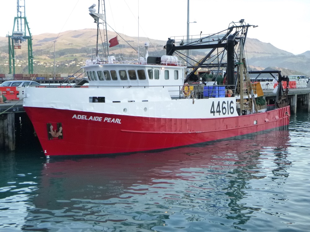 adelaide pearl